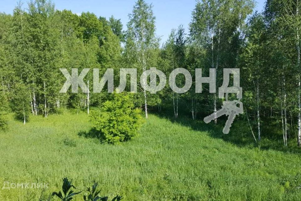 земля р-н Новосибирский Садоводческое некоммерческое товарищество Град фото 1