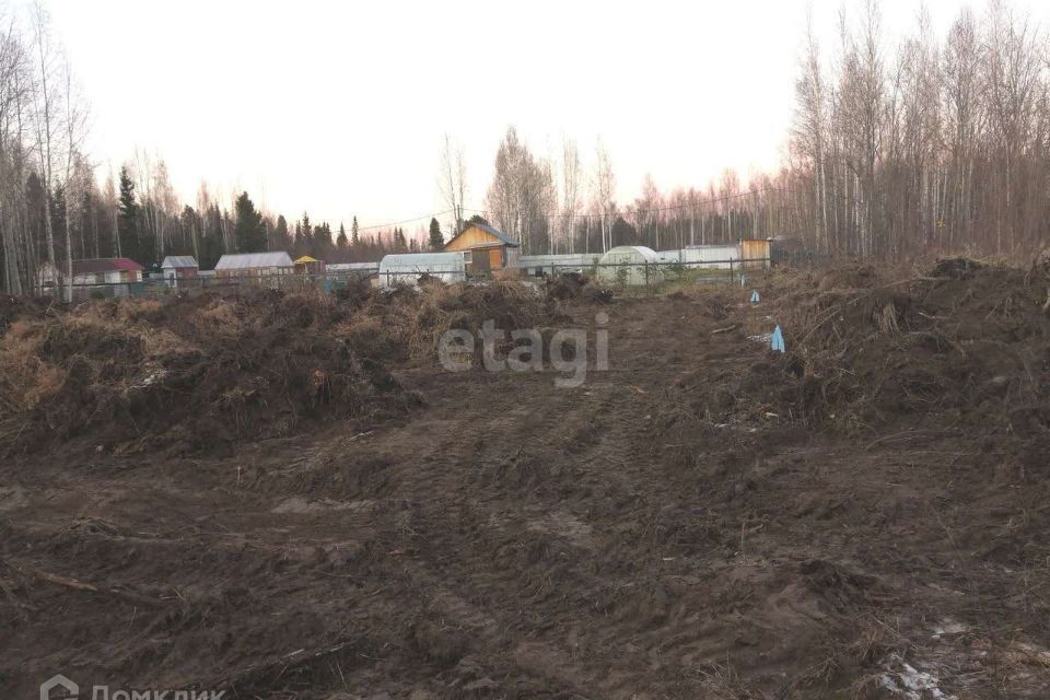 земля г Ханты-Мансийск садово-огородническое товарищество УПТВСи ИС-2, городской округ Ханты-Мансийск фото 3