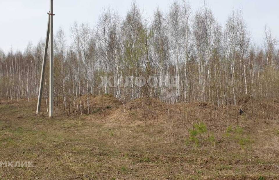 земля р-н Новосибирский Садоводческое некоммерческое товарищество Град фото 7