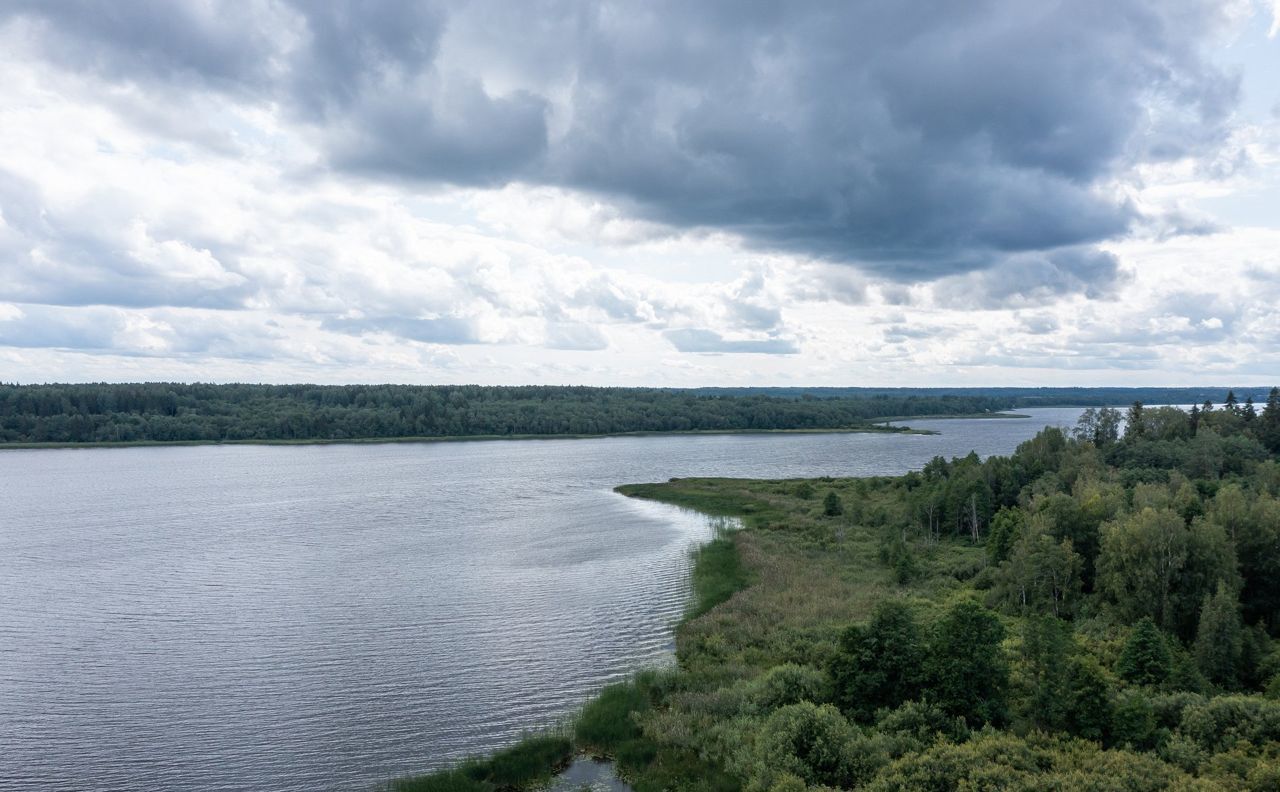 земля р-н Гатчинский с Орлино Дружногорское городское поселение, коттеджный пос. Орлино Парк, 39, Дружная Горка фото 32