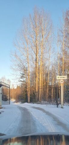 земля Советское городское поселение, СНТ Спутник-2 фото