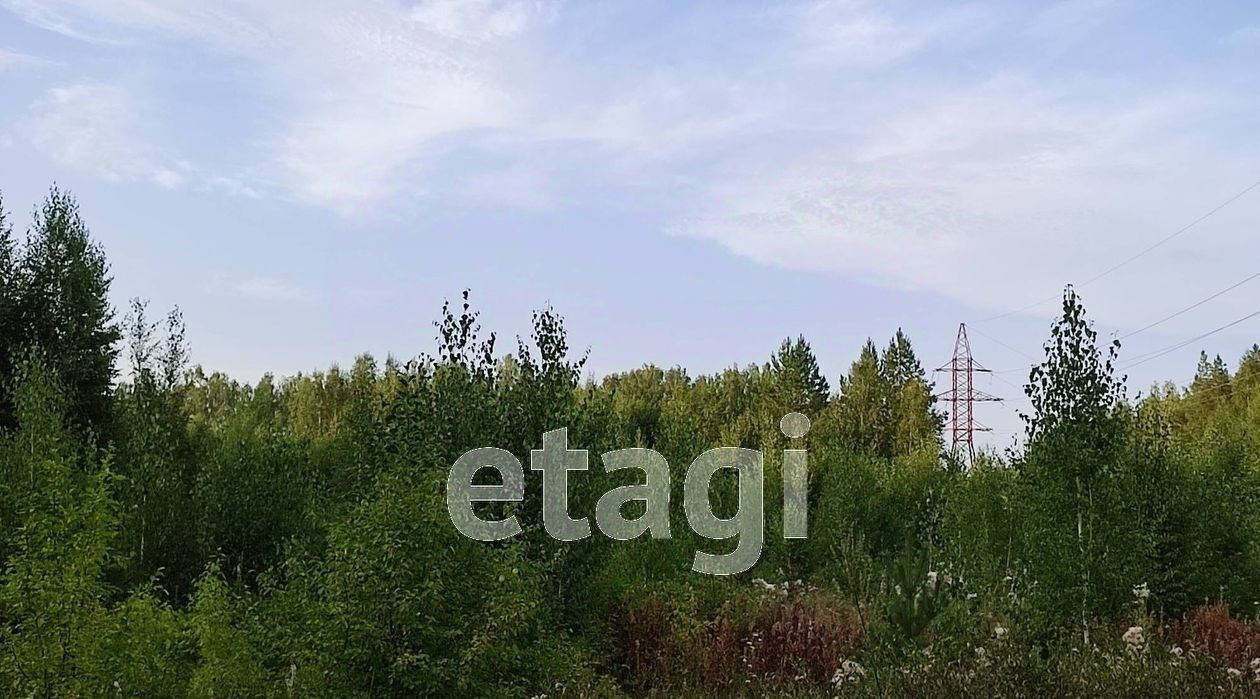 земля г Озерск снт Акакуль Озерский городской округ, 188Г фото 4