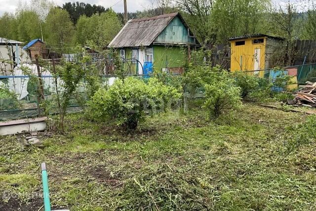 Междуреченский городской округ, садоводческое некоммерческое товарищество Берёзка фото