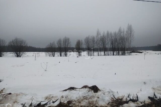 земля посёлок Снегири фото