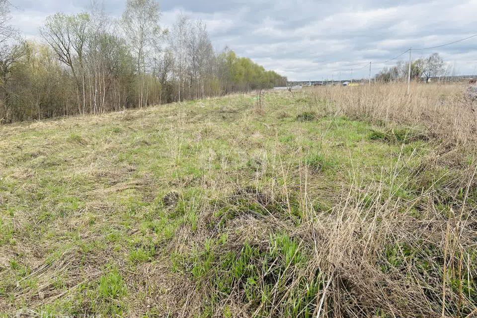 земля городской округ Воскресенск коттеджный посёлок Ромашково-2 фото 3