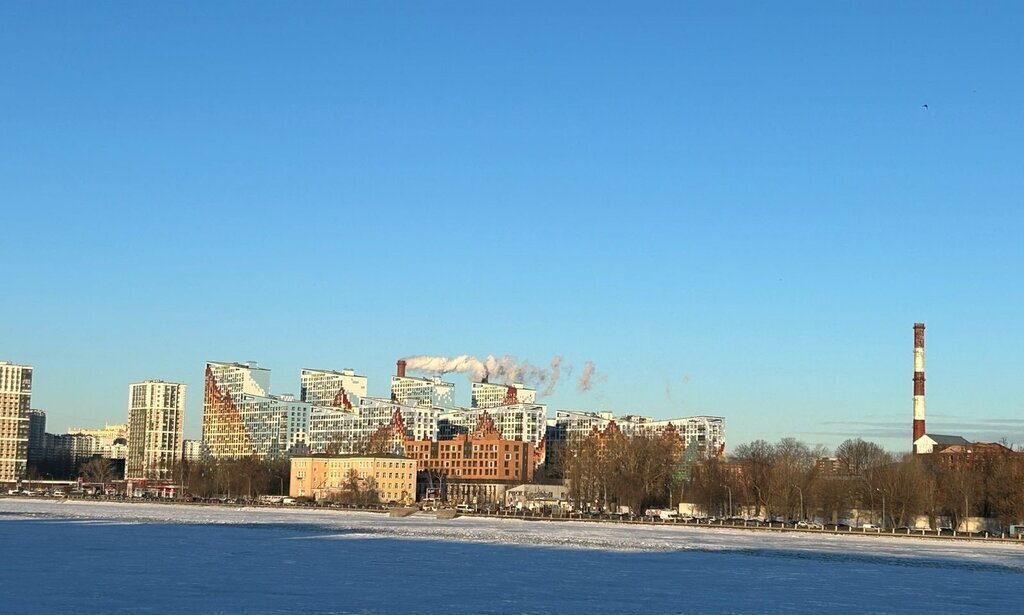 торговое помещение г Санкт-Петербург метро Ломоносовская пр-кт Обуховской Обороны 143 фото 21