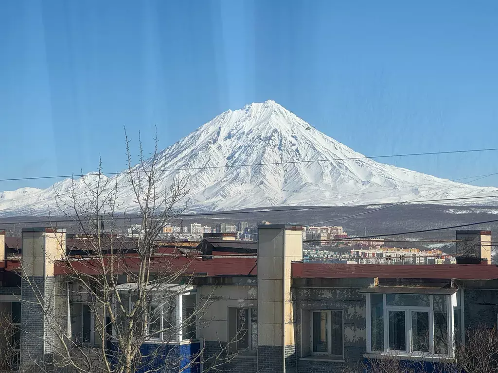 квартира г Петропавловск-Камчатский ул Владивостокская 45/1 фото 2