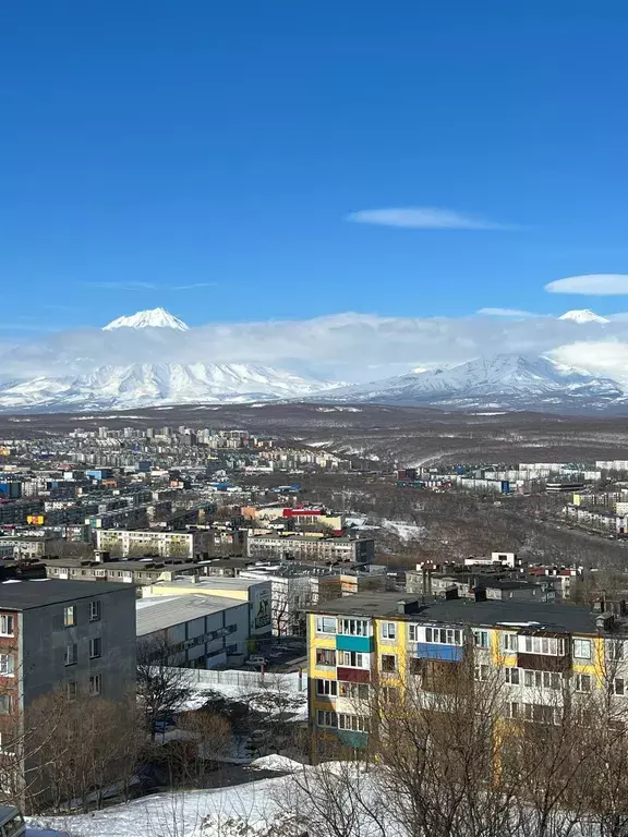 квартира г Петропавловск-Камчатский ул Автомобилистов 16 фото 12