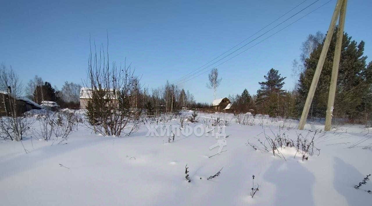 земля г Новосибирск Золотая Нива Садоводческого товарищества Плющихинская пойма тер., 209 фото 2