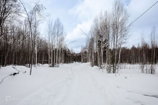 с Кунгурка городской округ Ревда, Урочище Дегтяные фото