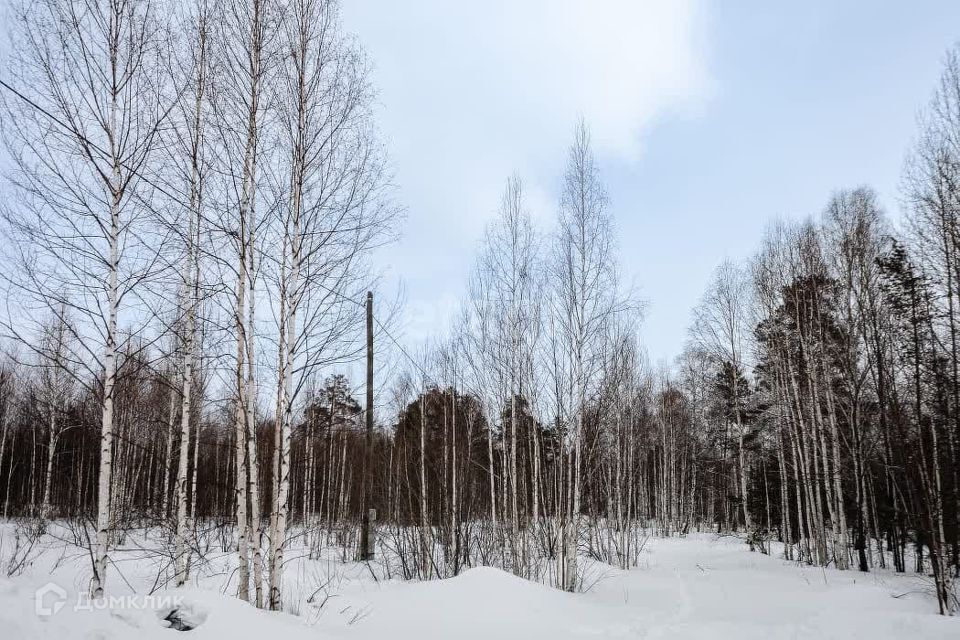 земля г Ревда с Кунгурка городской округ Ревда, Урочище Дегтяные фото 6