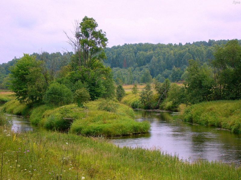 дом р-н Оленинский село Молодой Туд фото 3