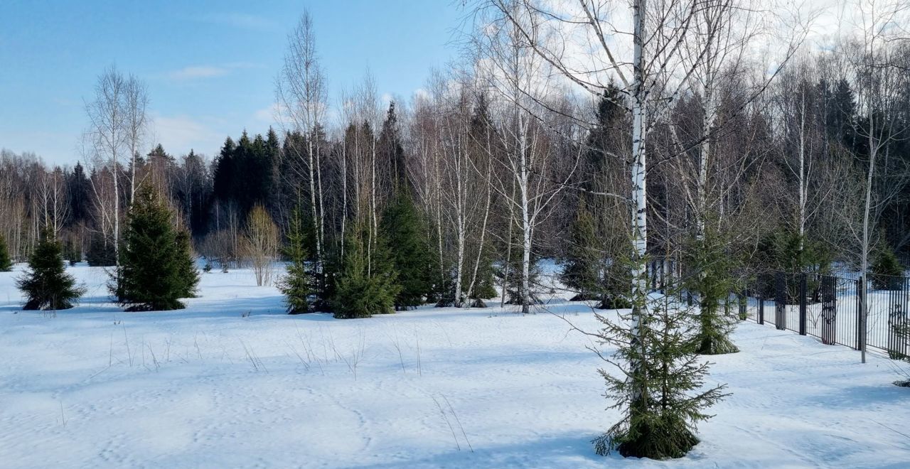 земля городской округ Мытищи д Долгиниха Марфино фото 7