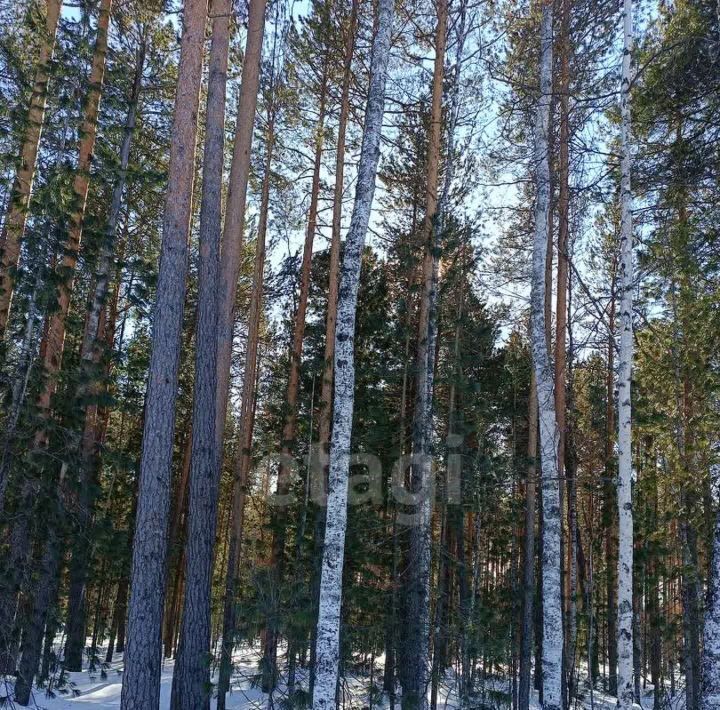 земля г Ханты-Мансийск снт Маяк ул. Аничковская, Сургут фото 14