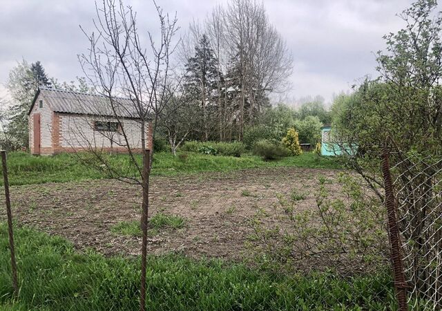 Селезнёвское сельское поселение, садоводческое некоммерческое товарищество Аграрник, Выборг фото
