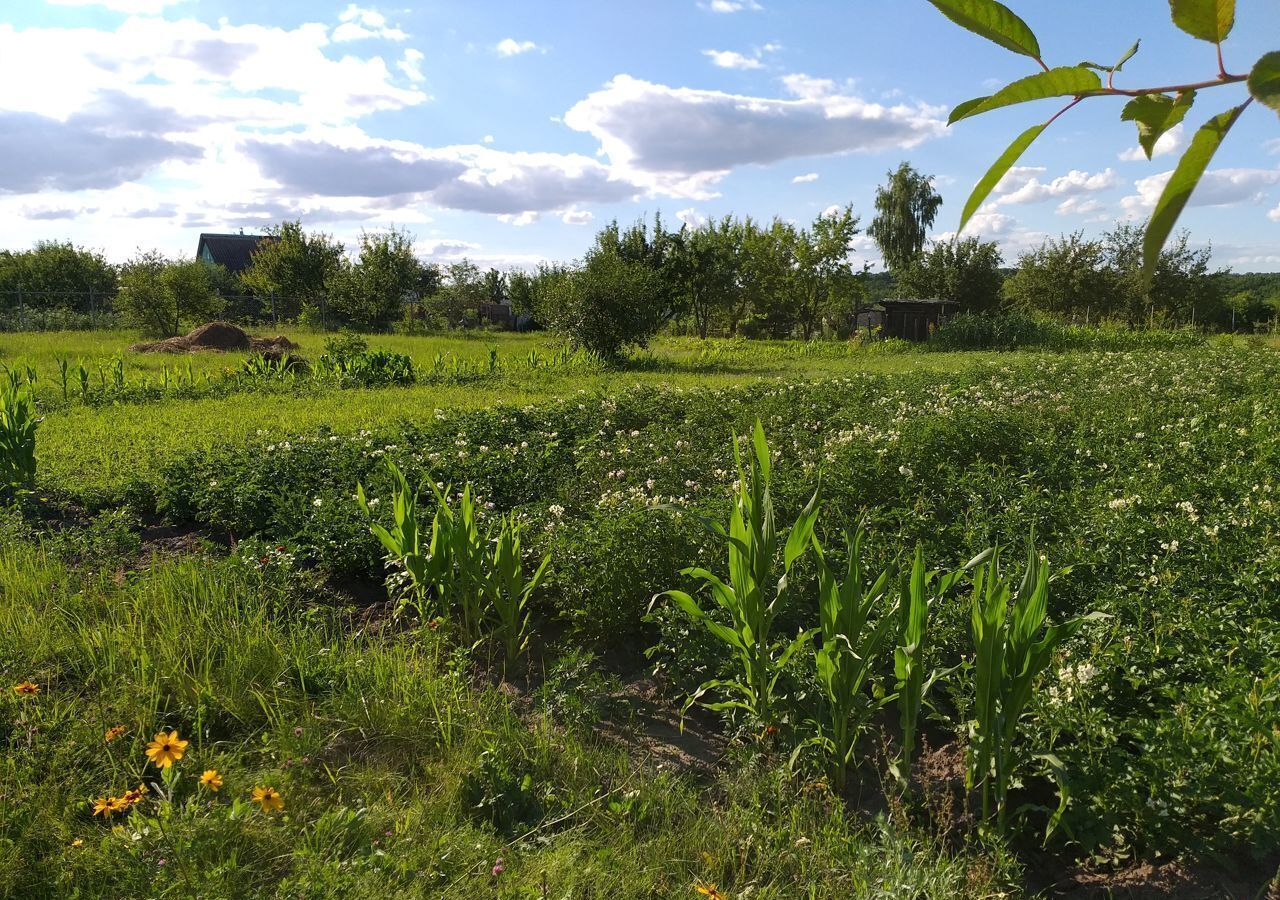 земля р-н Курский д Гремячка снт Золотая осень Курск фото 2