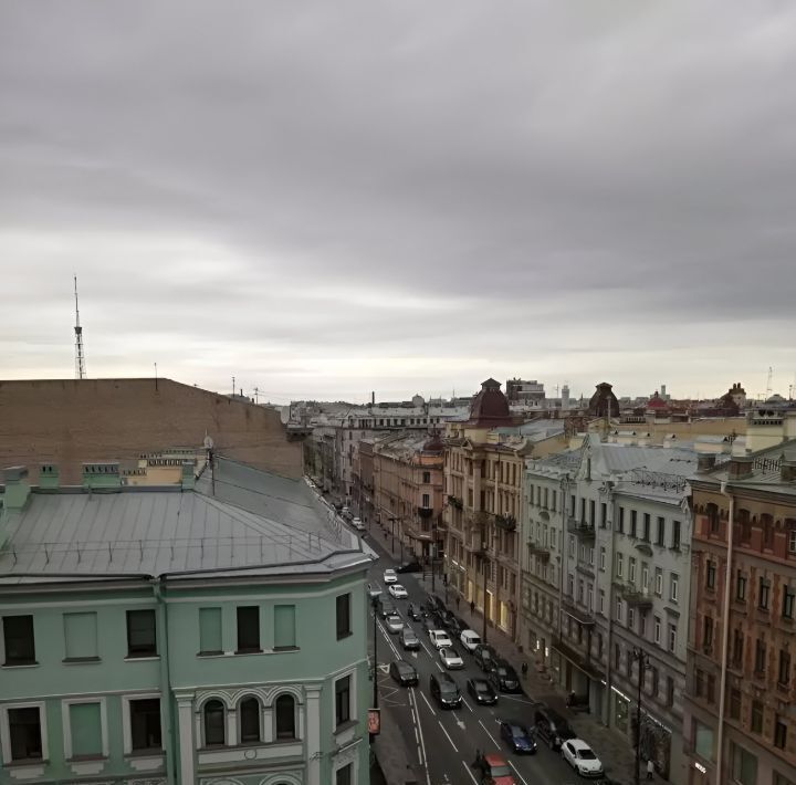 свободного назначения г Санкт-Петербург метро Петроградская просп. Большой Петроградской стороны, 58 фото 6