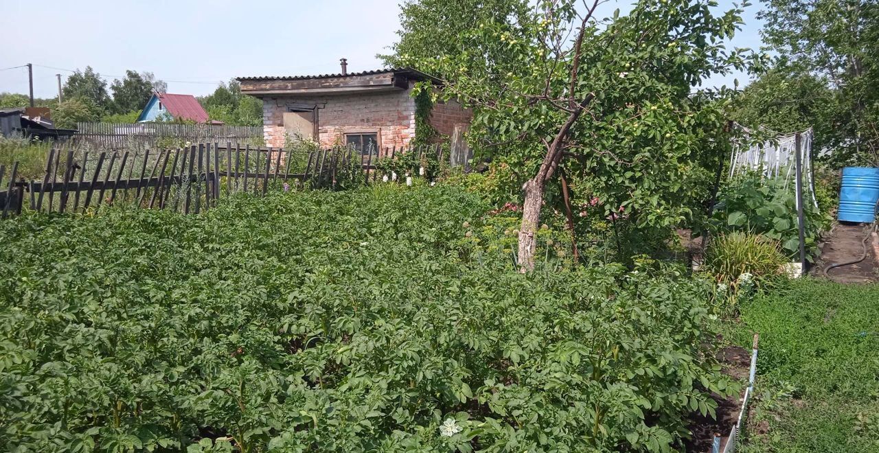 земля г Омск р-н Октябрьский территория СОСН Большевичка, 4-я аллея фото 8