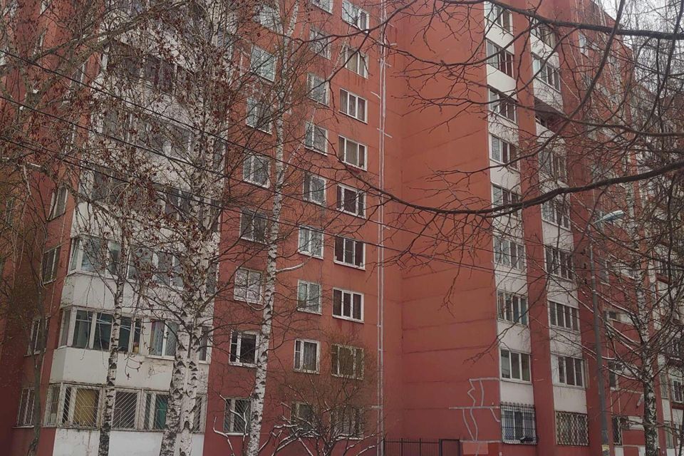 квартира г Санкт-Петербург пр-кт Кузнецова 20 Красносельский район фото 1