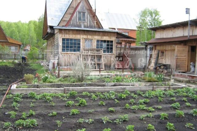 земля садоводческое некоммерческое товарищество Колмогоры фото