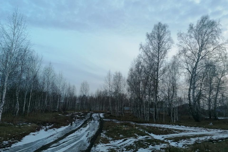 земля р-н Новосибирский с Верх-Тула микрорайон Мирный фото 6