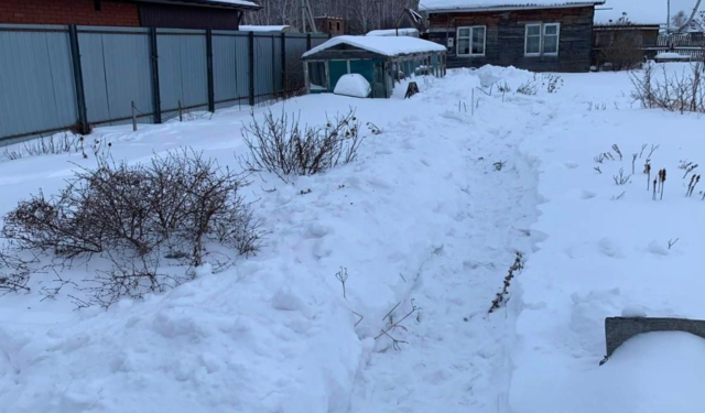 садовое товарищество Дружба, городской округ Новосибирск фото