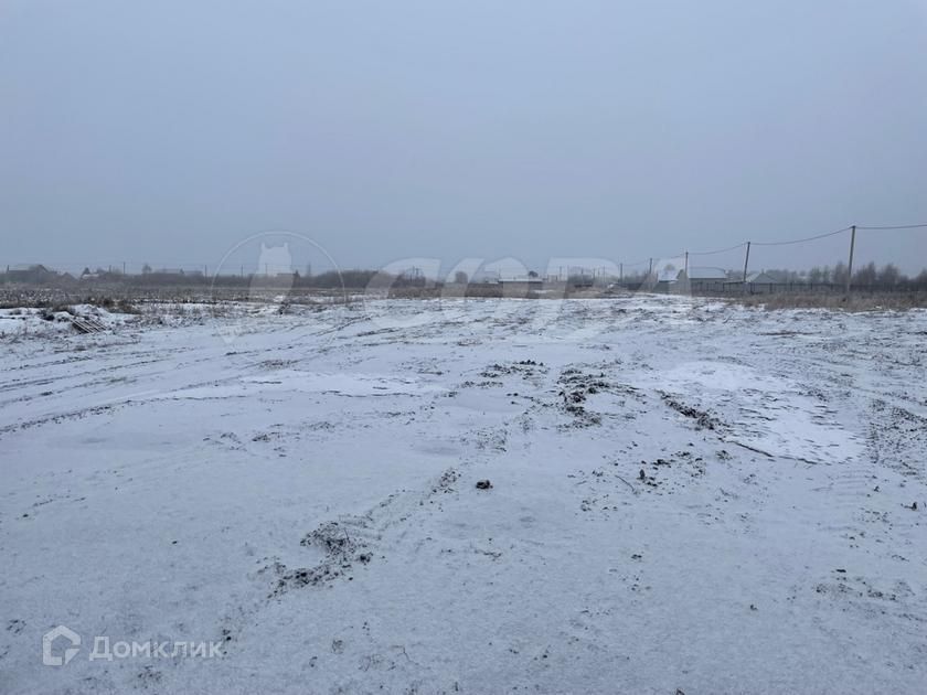 земля г Тюмень городской округ Тюмень, садовое общество Дубок фото 1