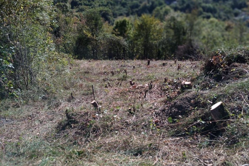 земля г Сочи с Высокое городской округ Сочи, Геленджикская улица, 121 фото 1