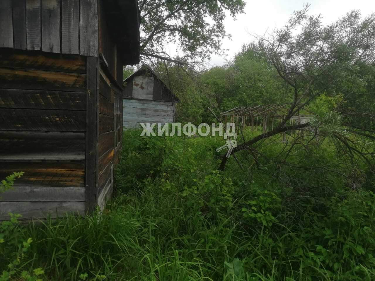 земля г Новосибирск Золотая нива фото 1
