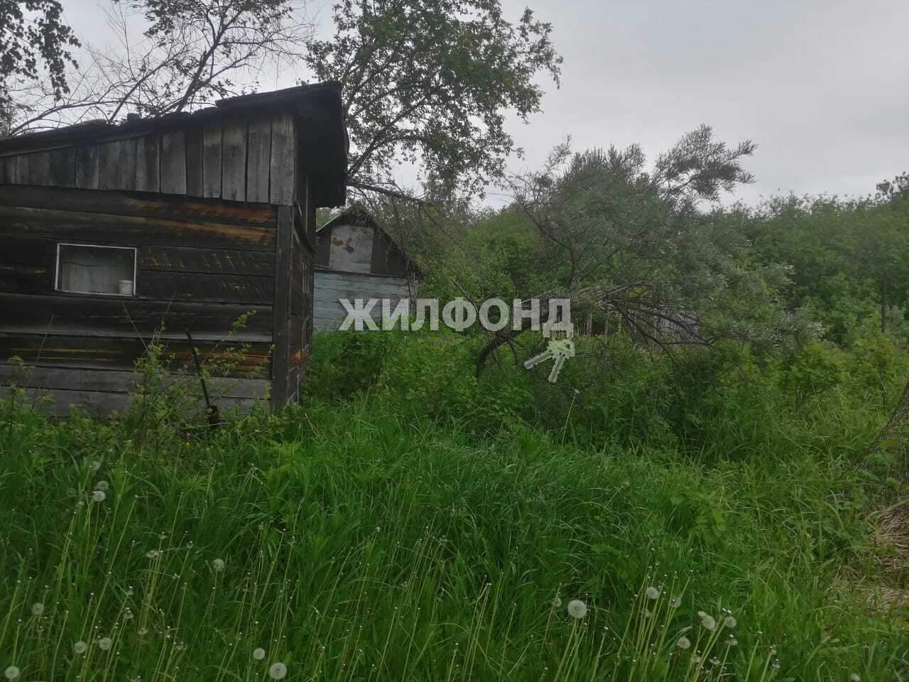 земля г Новосибирск Золотая нива фото 6
