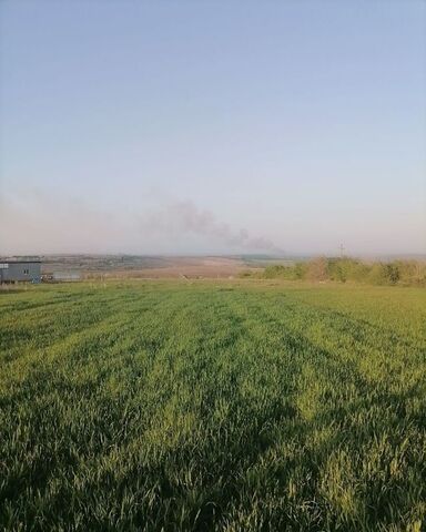 земля х Даманка Киевское, Молдаванское сельское поселение фото