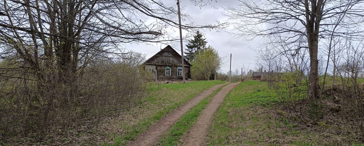 земля р-н Великолукский д Троица Пореченская волость, Кунья фото 1