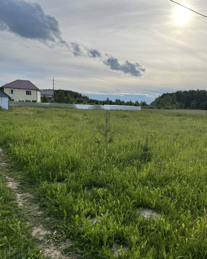 земля городской округ Лотошино д Турово фото 4