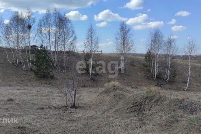 земля снт Алтай ул Абрикосовая городской округ Барнаул фото