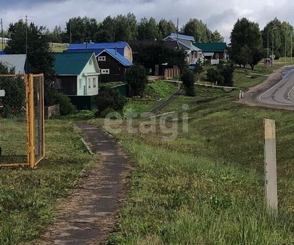 д Большие Логуновы Р-243, 630-й километр фото