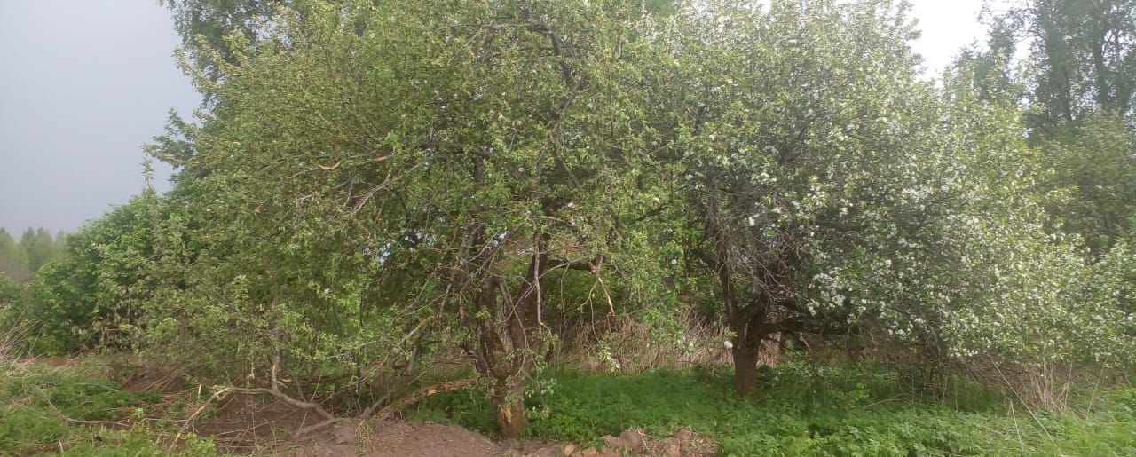 земля р-н Сафоновский д Билино Николо-Погореловское сельское поселение, Сафоново фото 4