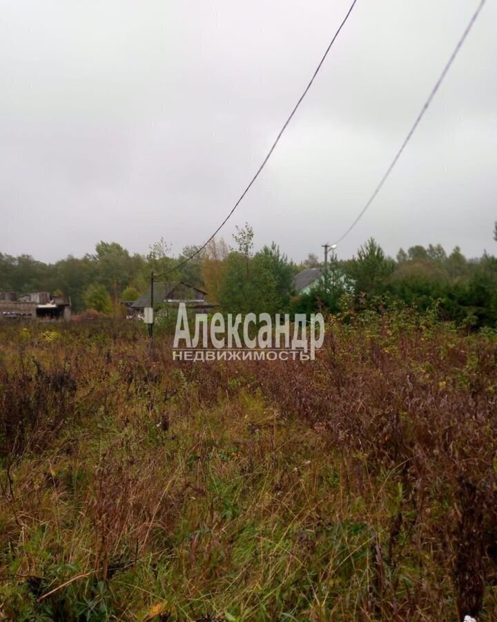 земля р-н Волосовский Большеврудское сельское поселение, Беседское сельское поселение, Кингисепп фото 3