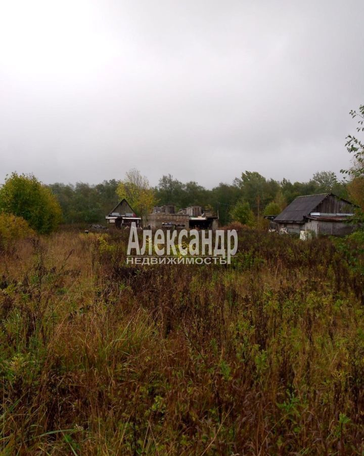 земля р-н Волосовский Большеврудское сельское поселение, Беседское сельское поселение, Кингисепп фото 5