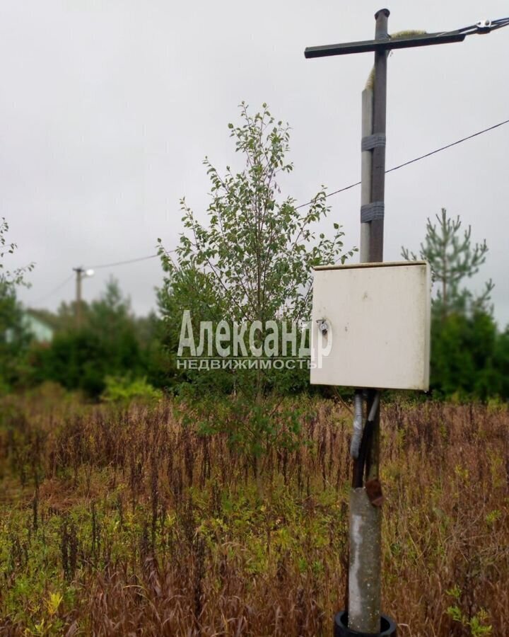 земля р-н Волосовский Большеврудское сельское поселение, Беседское сельское поселение, Кингисепп фото 8