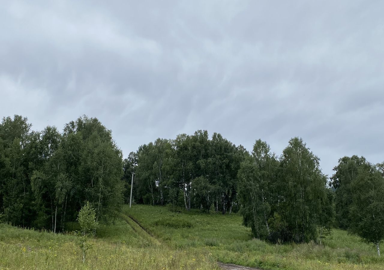 земля р-н Шебалинский Алтайский край, Алтайское фото 8