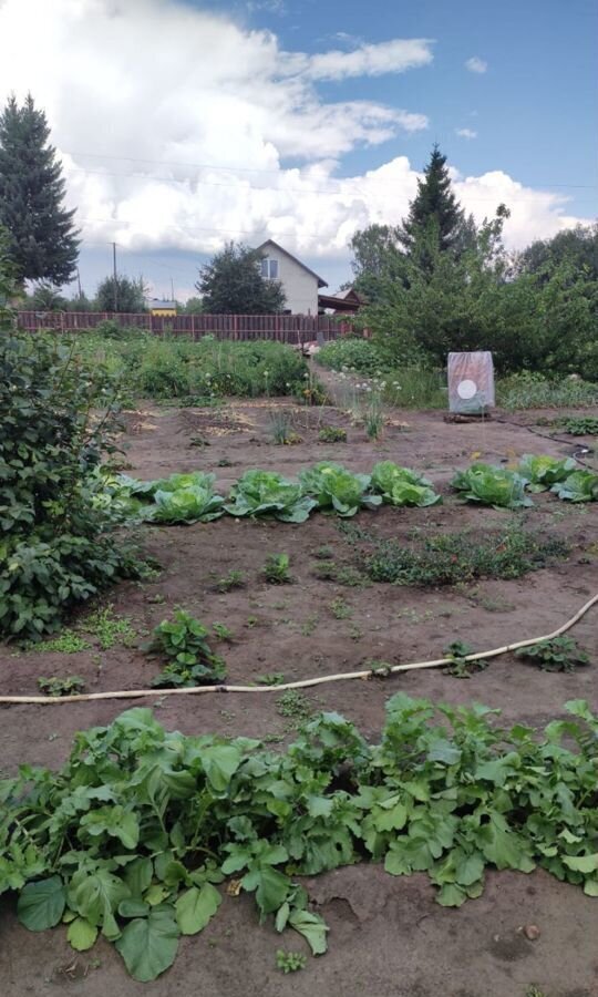 земля г Барнаул р-н Ленинский ул Совхозная фото 2