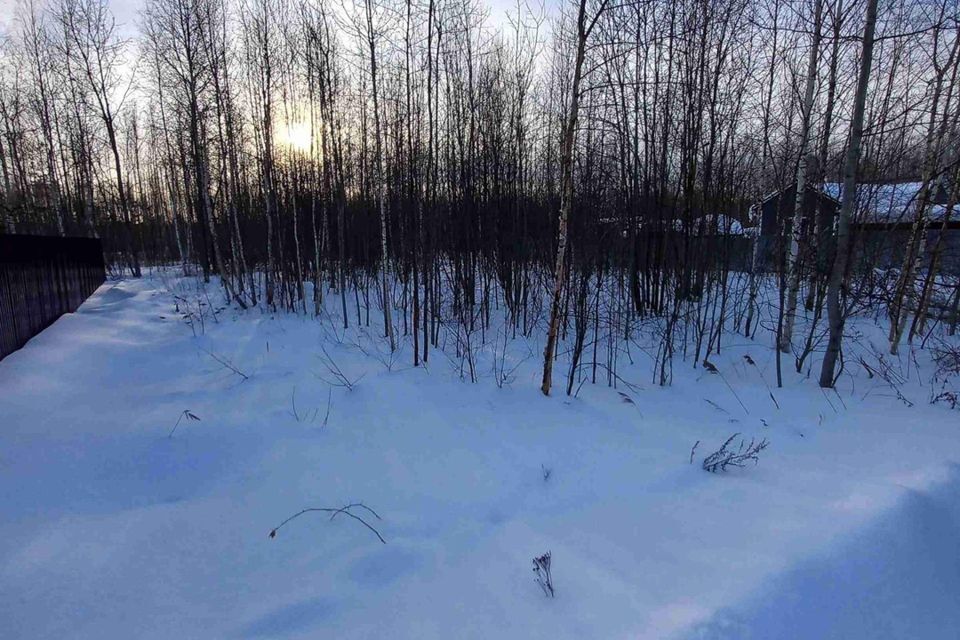 земля городской округ Богородский г Ногинск снт Ветеран 7-я линия фото 5