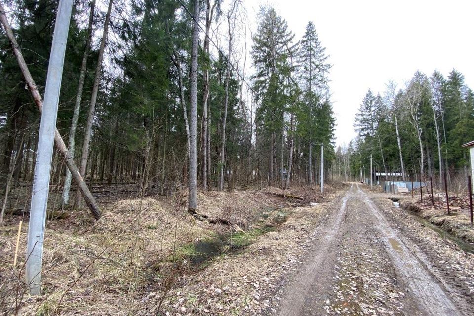 земля городской округ Сергиево-Посадский г Хотьково тер ДПК Весна пер Лазурный фото 10