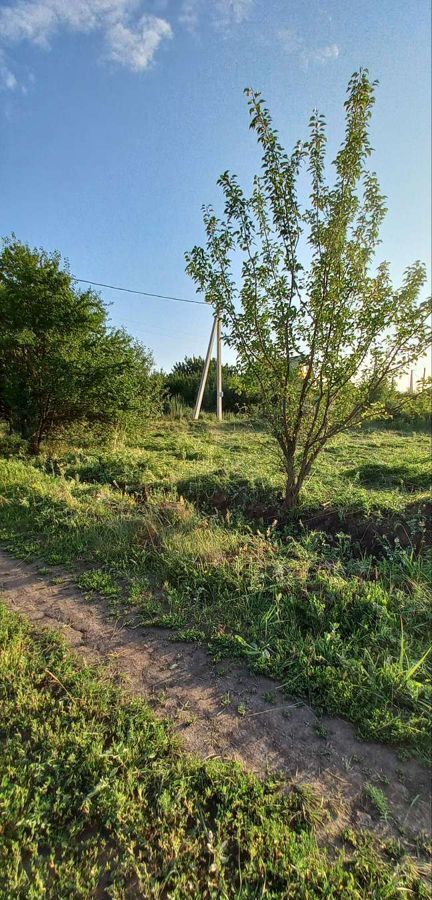 земля р-н Семилукский снт Лесное ул Ведугская 122н Губарёвское сельское поселение, Воронеж фото 4