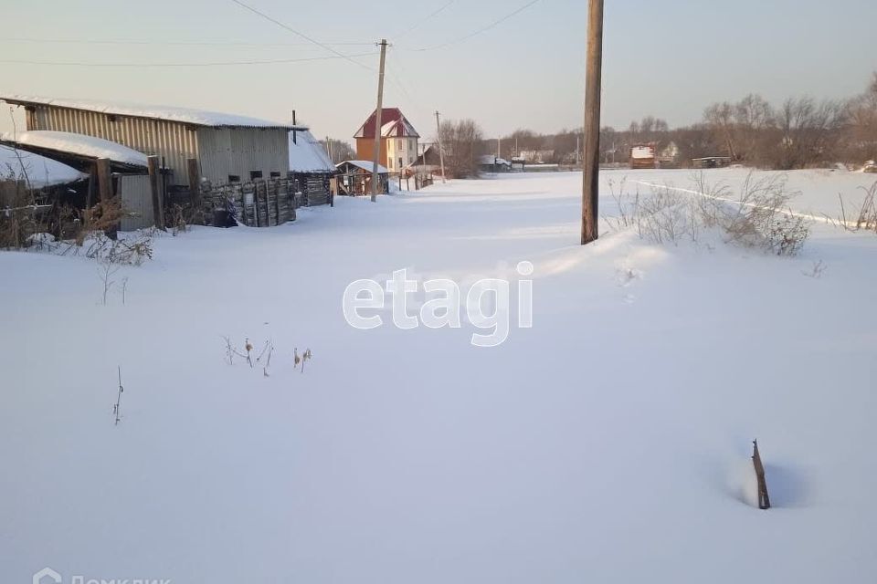 земля р-н Новосибирский село Криводановка фото 2