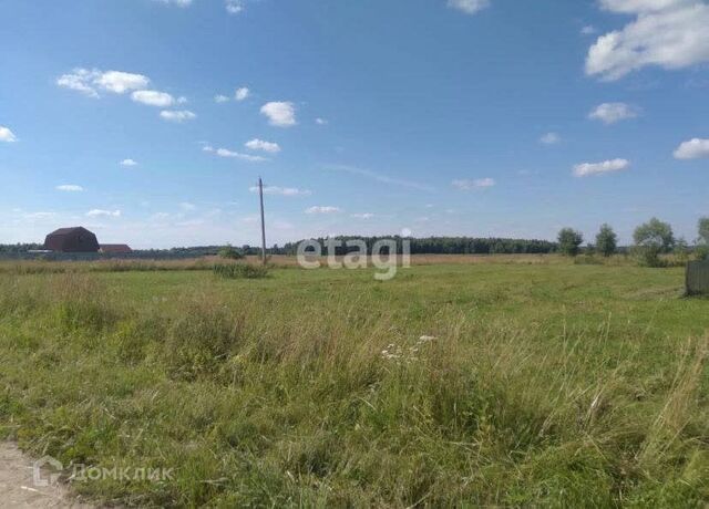 земля деревня Кременево фото