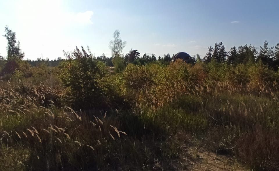 земля г Дзержинск городской округ Дзержинск, территория жилого комплекса Северные ворота, 285 фото 2