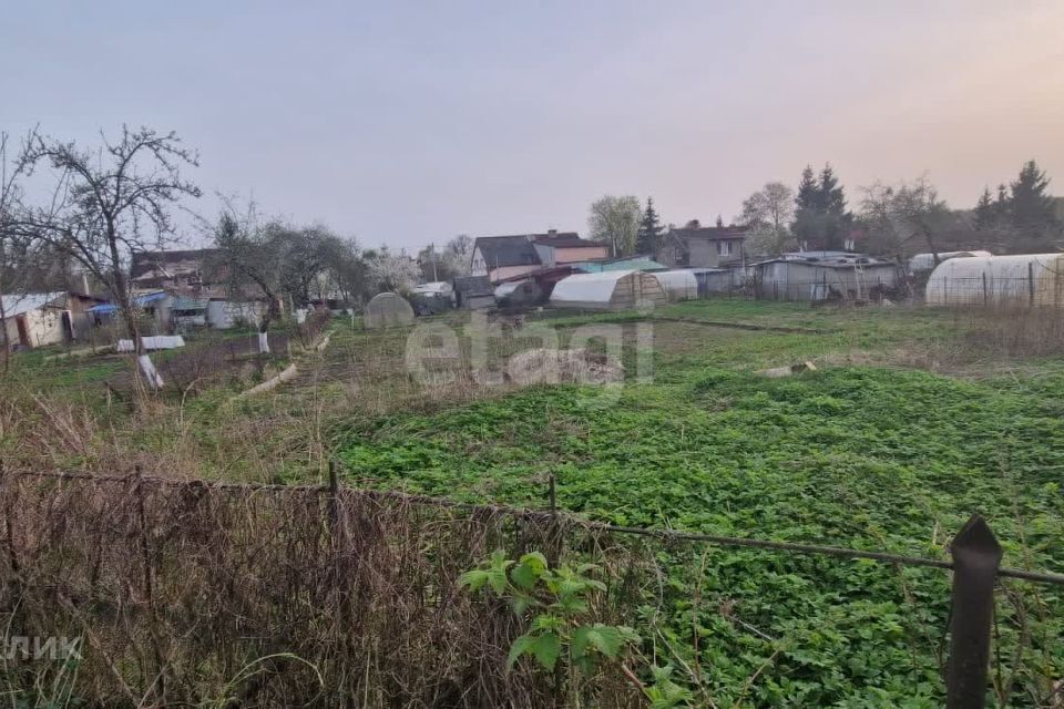 земля г Калининград городской округ Калининград, СНТ 40 лет Победы фото 5