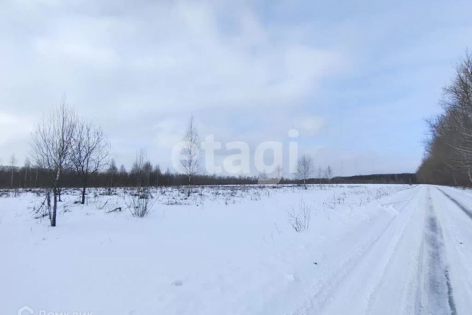 земля муниципальное образование Тула, село Бушово фото 4