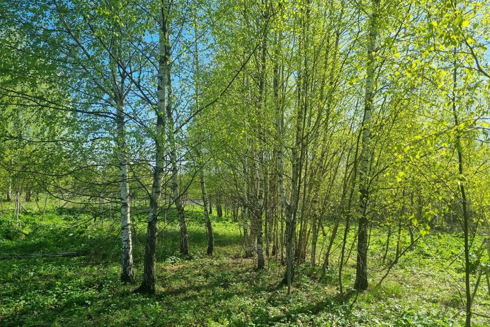 земля городской округ Дмитровский жилой комплекс Удино Парк фото 6